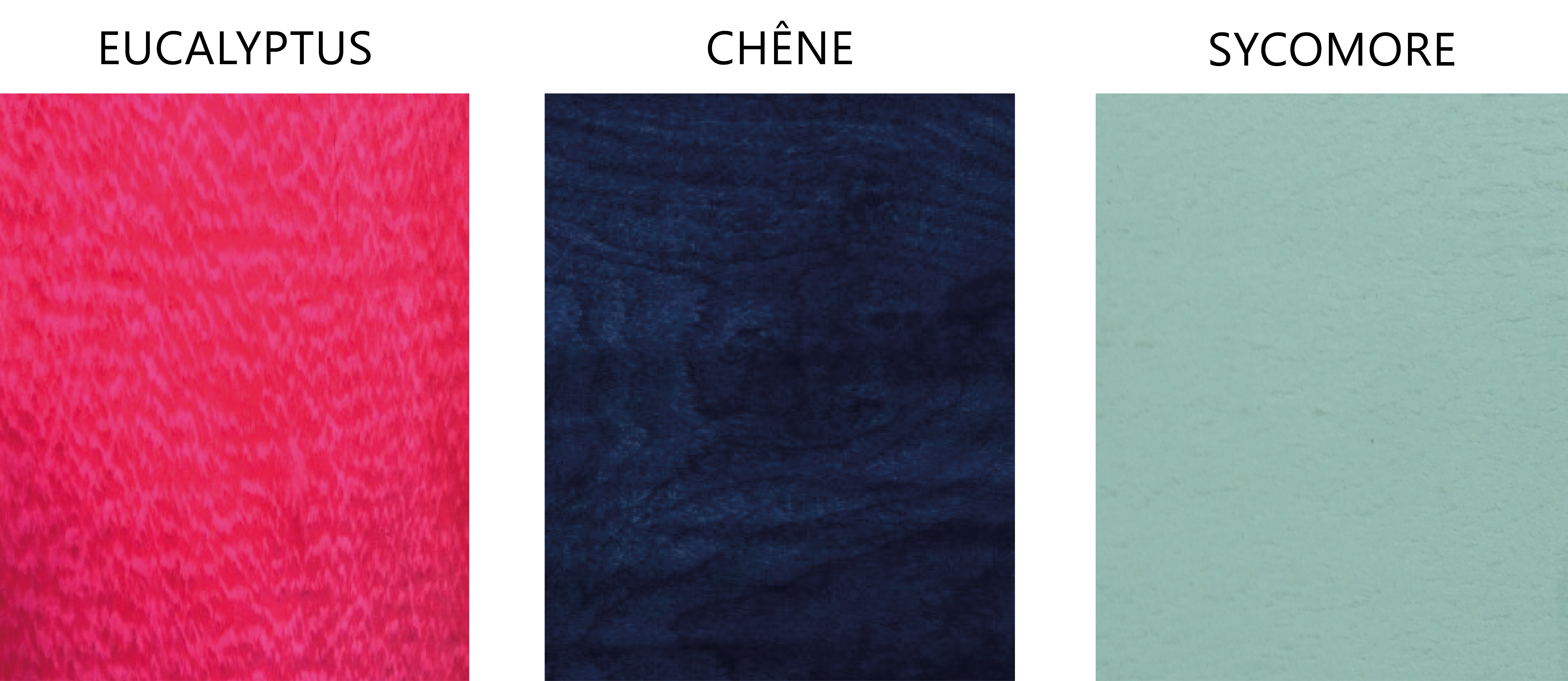 animal tiger wood placage